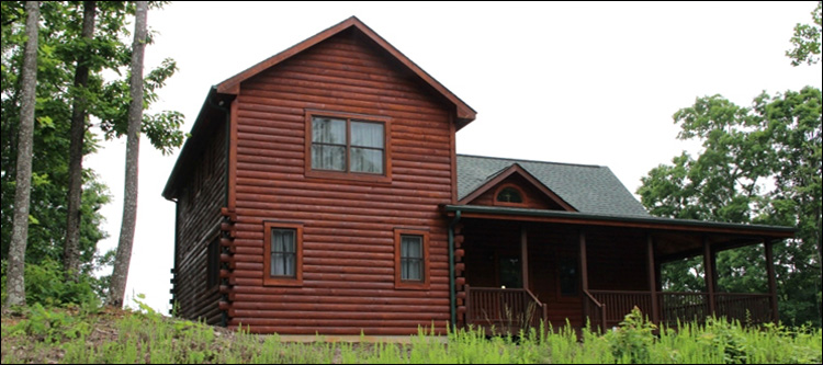 Professional Log Home Borate Application  Wythe County, Virginia
